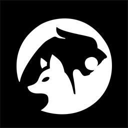 First Companion achievement icon