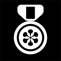 Windchaser: Bronze achievement icon